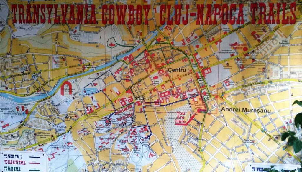 Transylvania Cowboy Cottage Cluj-Napoca Quarto foto